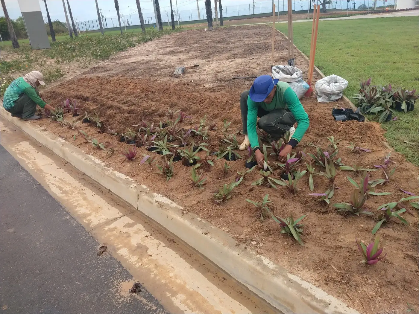 Construção de canteiros pela equipe JDS