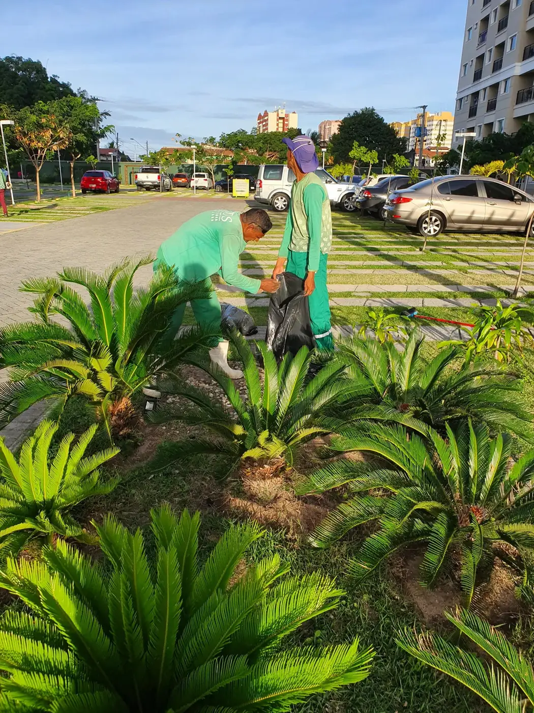 Execução de paisagismo JDS em condomínio de Fortaleza