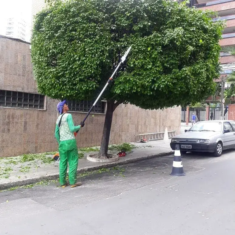 Poda de árvores JDS